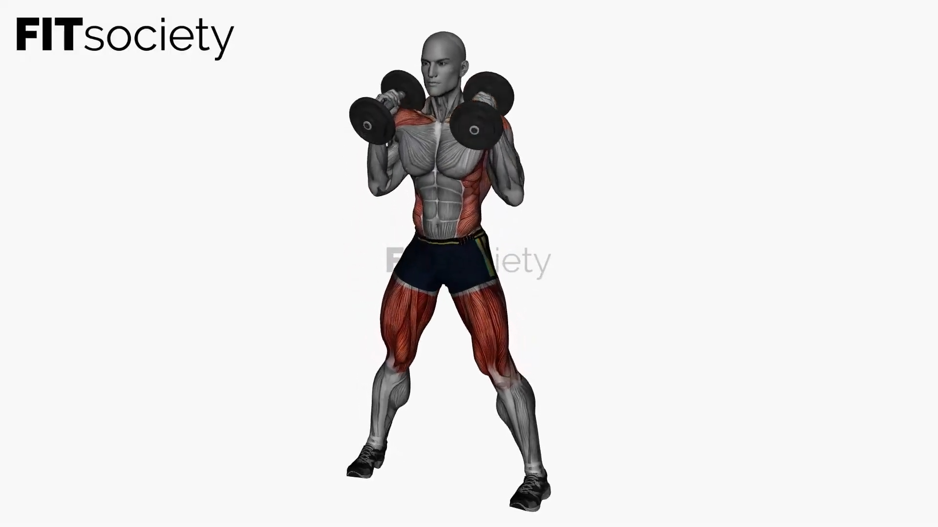 Good Mornings Dumbbells
