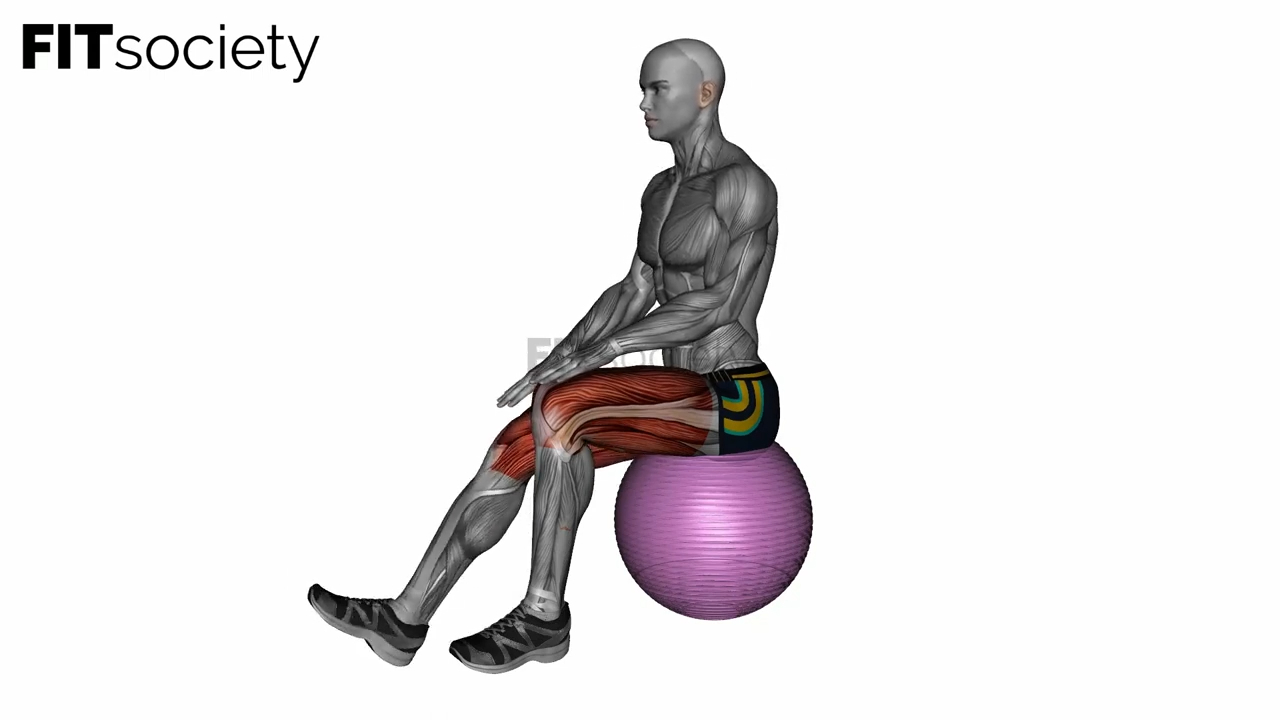 Exercise Ball Seated Hamstring Stretch