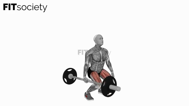 Barbell One-Arm Single-Leg Deadlift