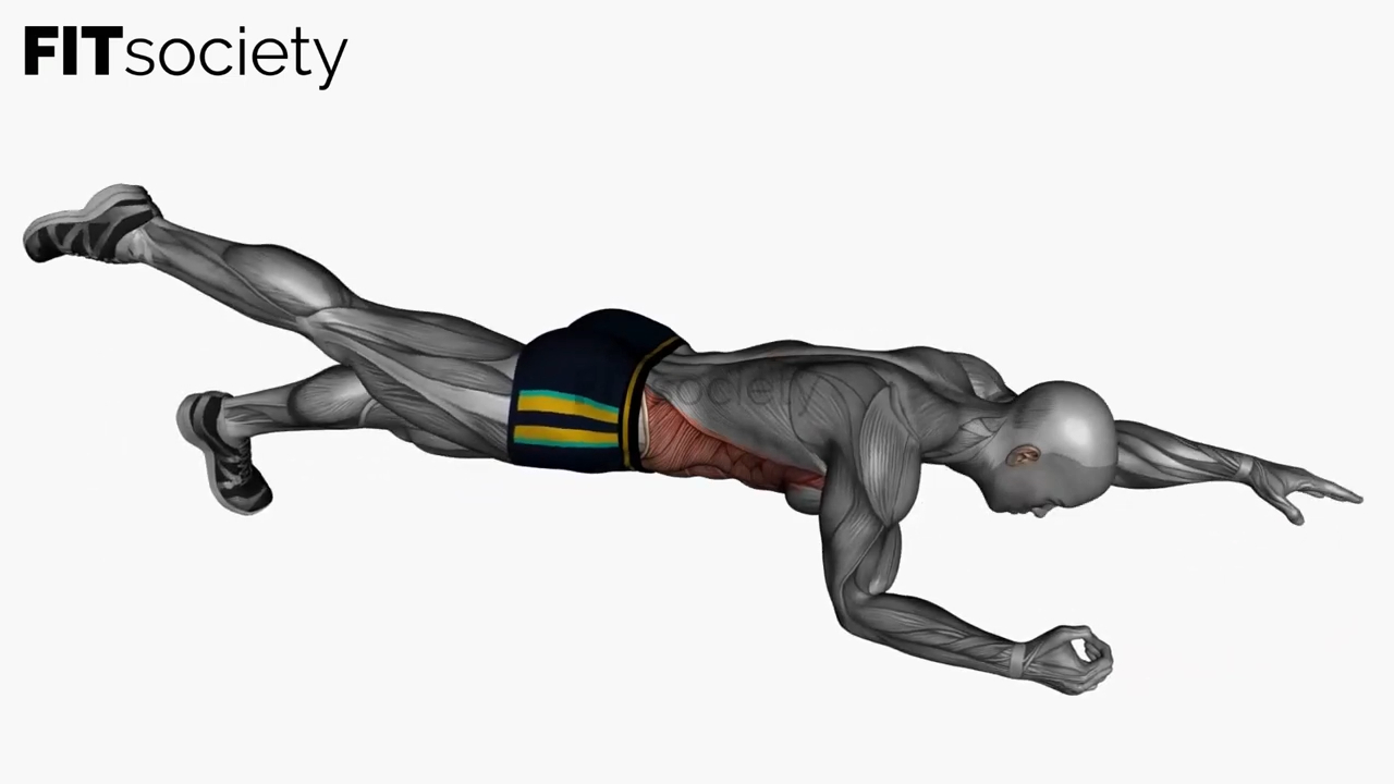 Alternate Arm Leg Plank Hold