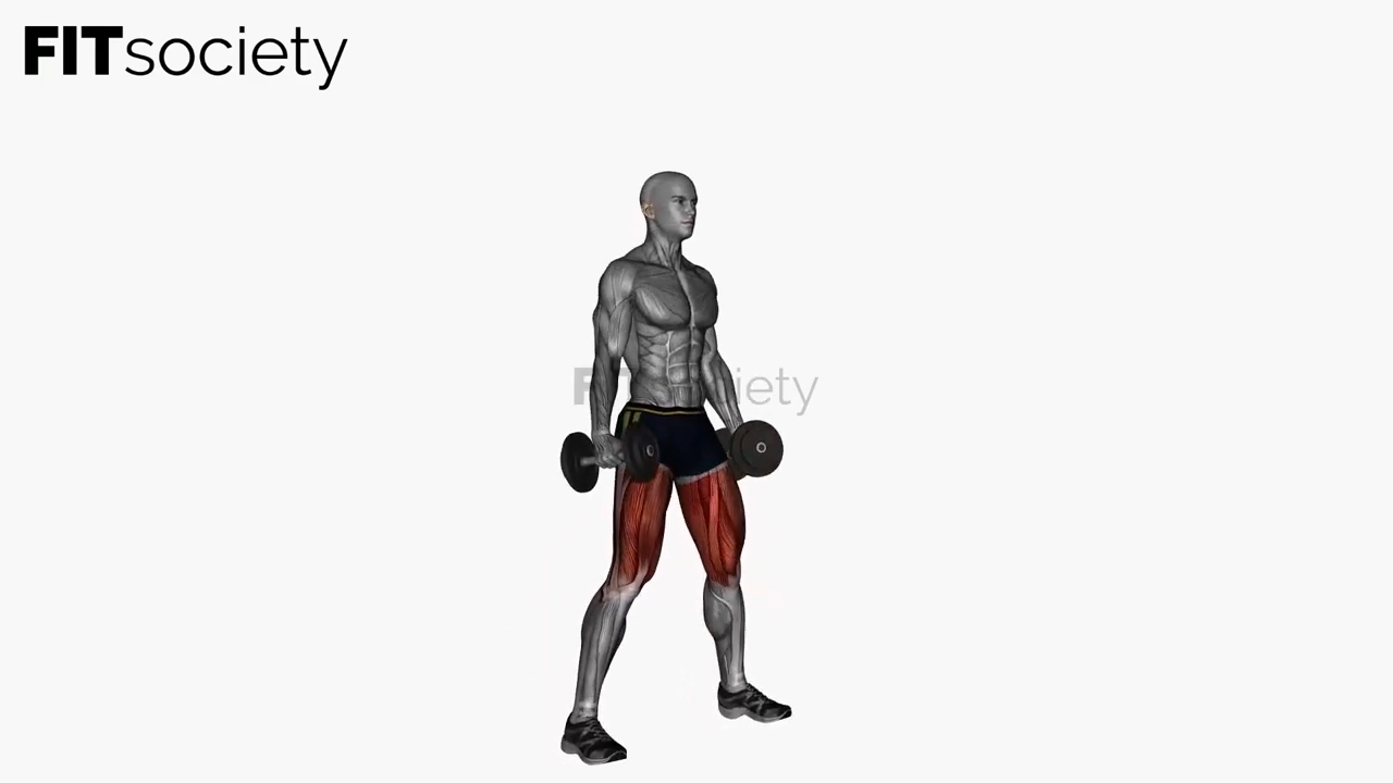 Dumbbell Low Front Squat