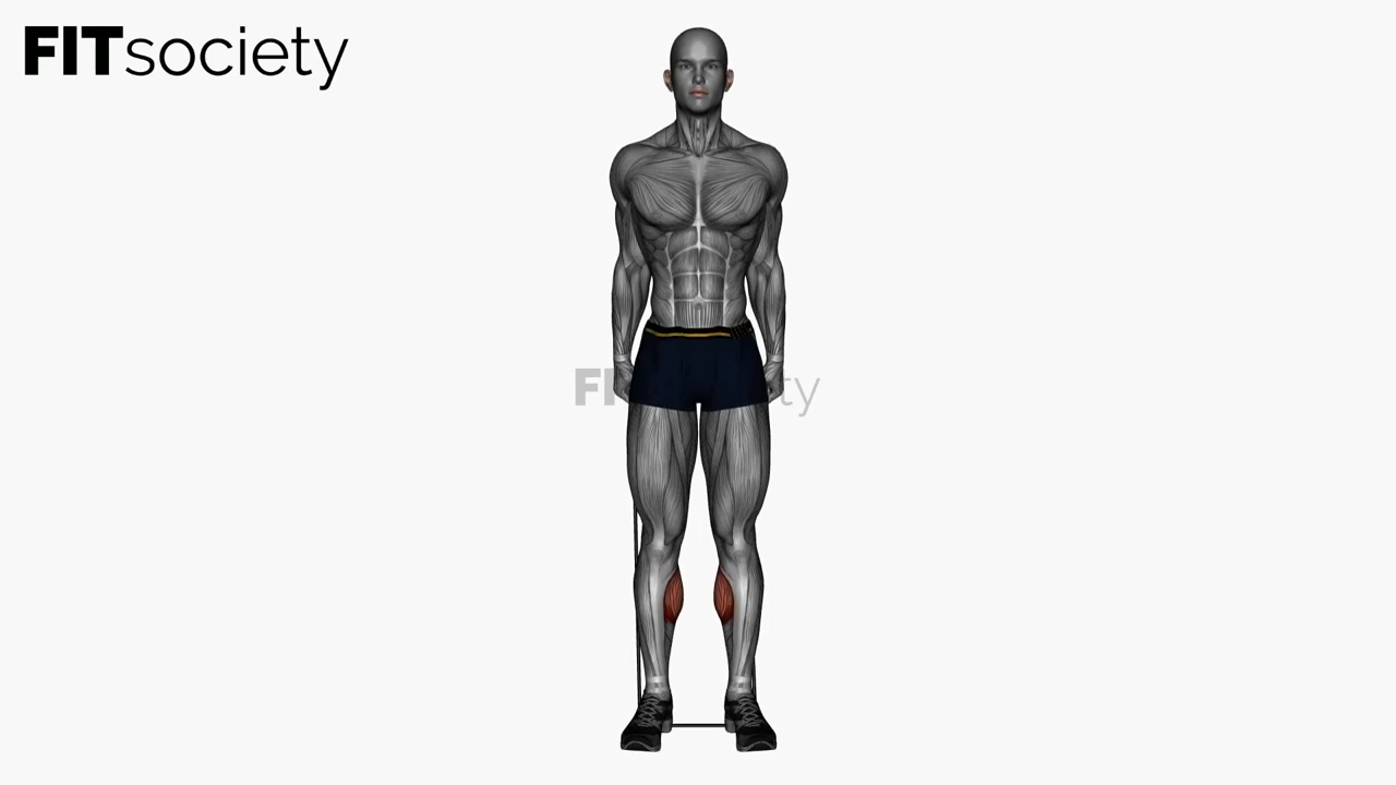 Standing Calf Raise Resistance Band