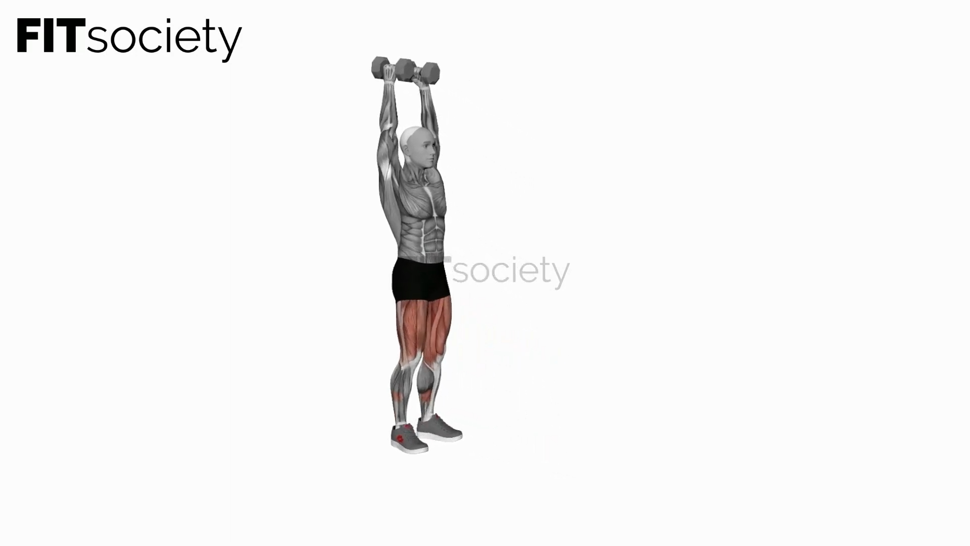 Dumbbell Overhead Lunge