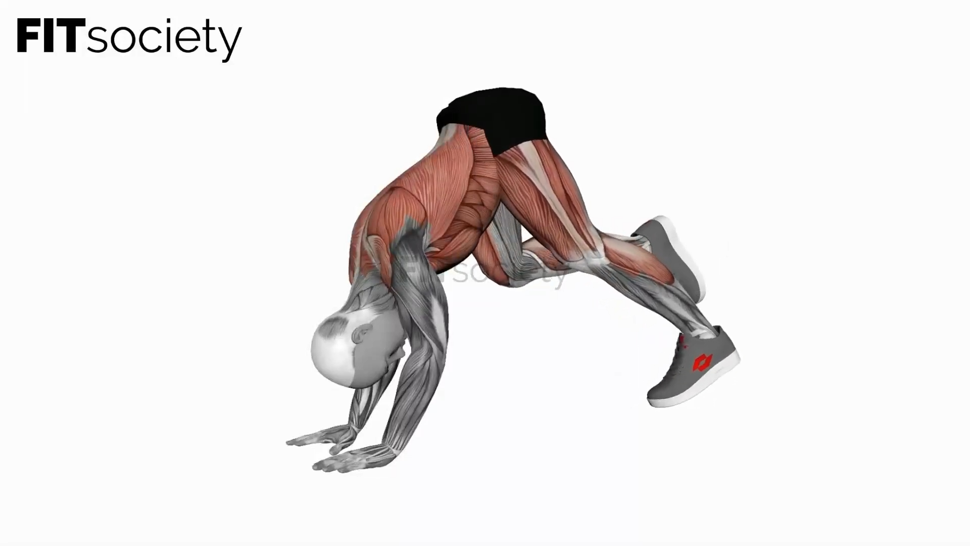 Downward Dog Sprint