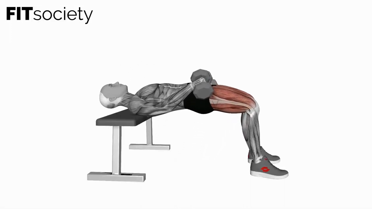 Dumbbell Hip Thrust