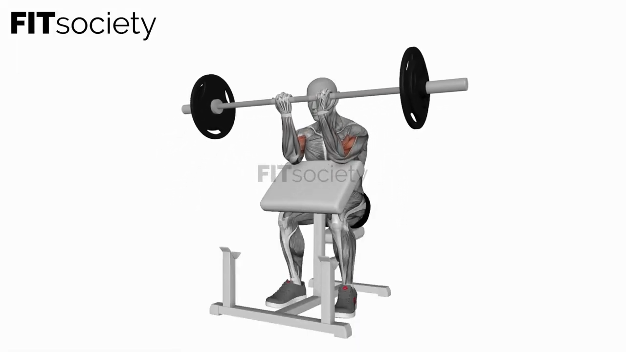 Barbell Preacher Curl