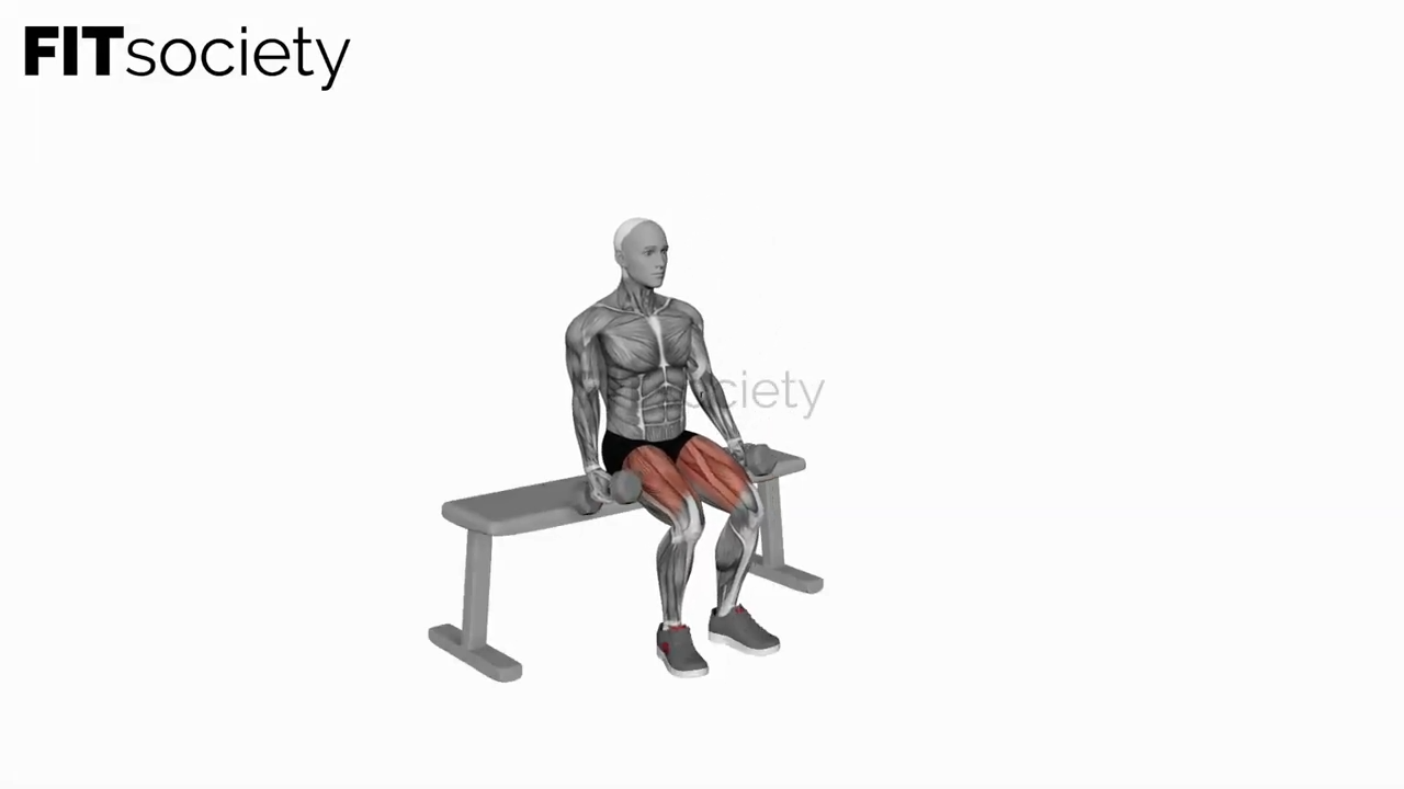 Dumbbell Bench Squat
