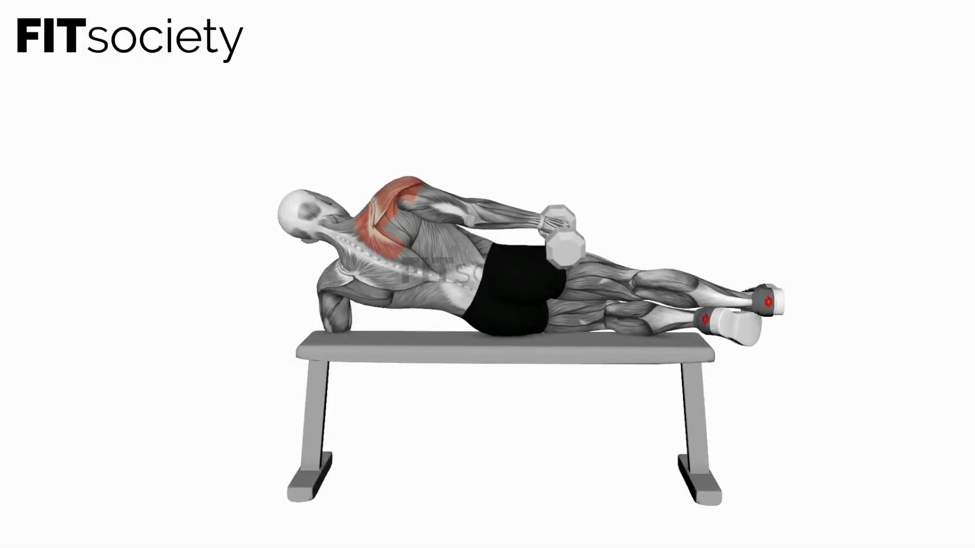 Dumbbell Side-Lying One-Arm Raise