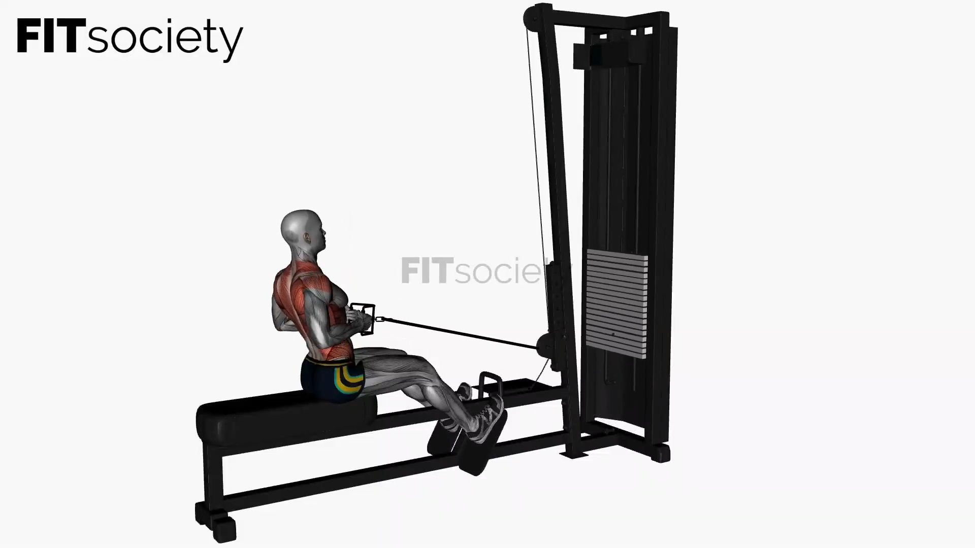 Seated Cable Row V-Bar Machine