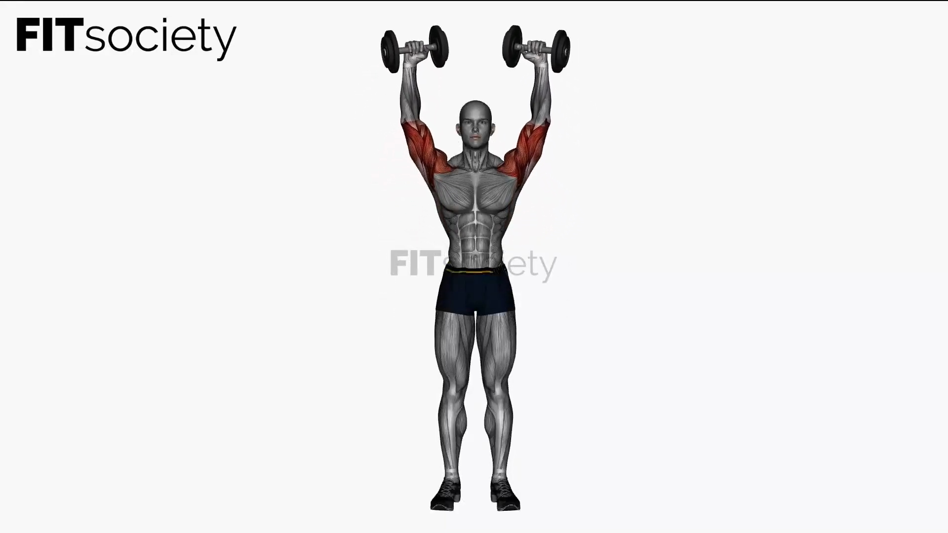 Dumbbell Bicep Curl to Shoulder Press