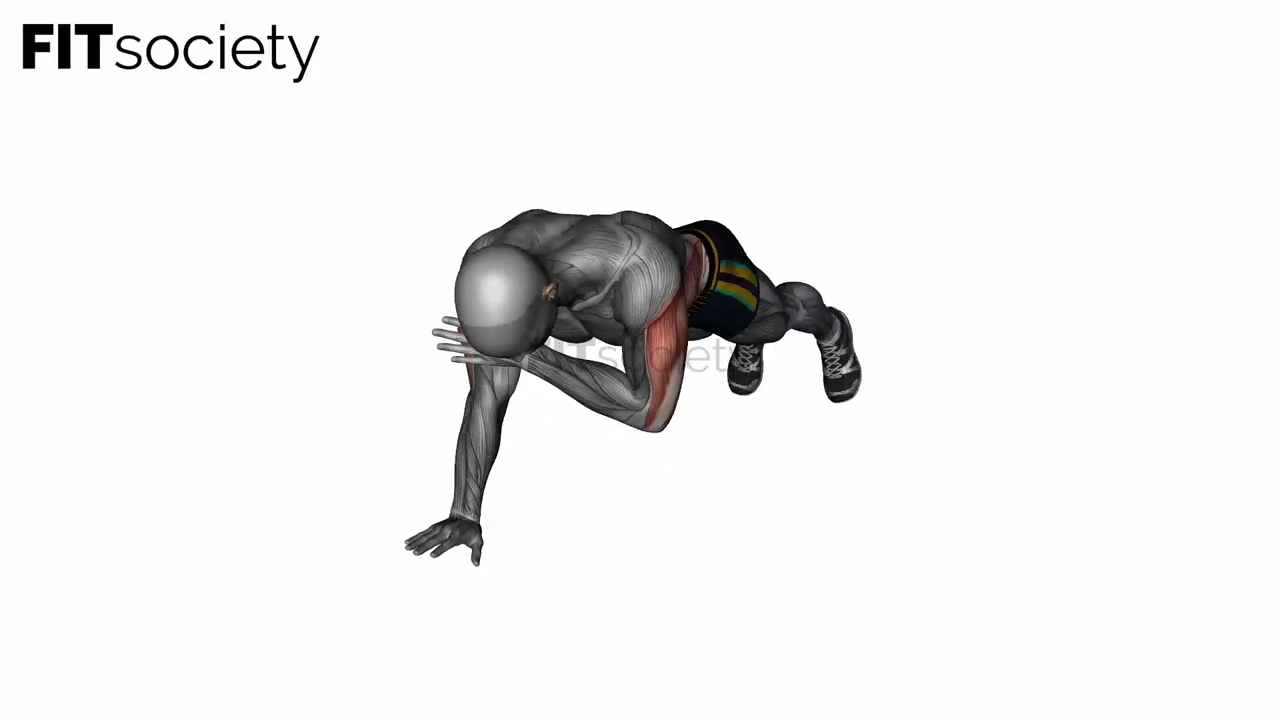 Plank Shoulder Taps
