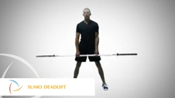 Sumo Deadlift