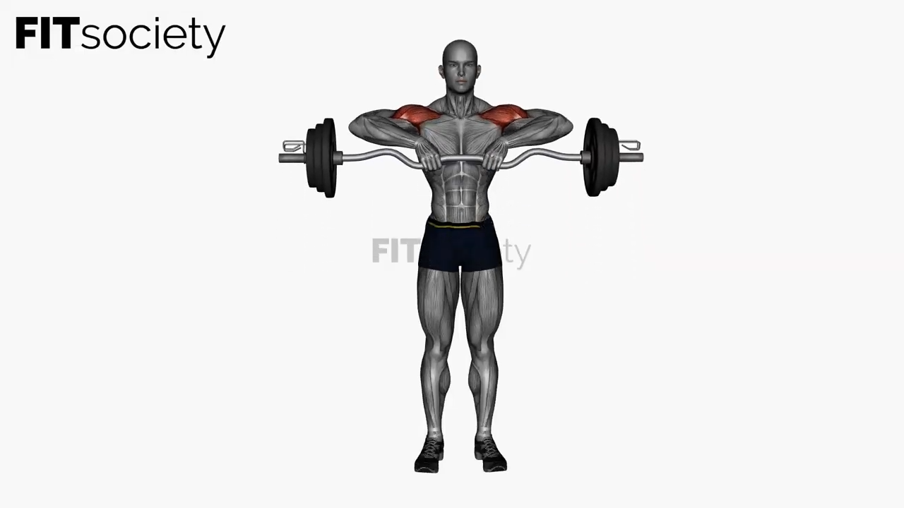 EZ-Bar Upright Row