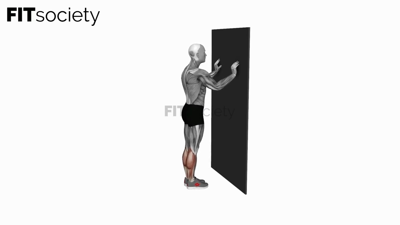 Calf Raise With Wall Support