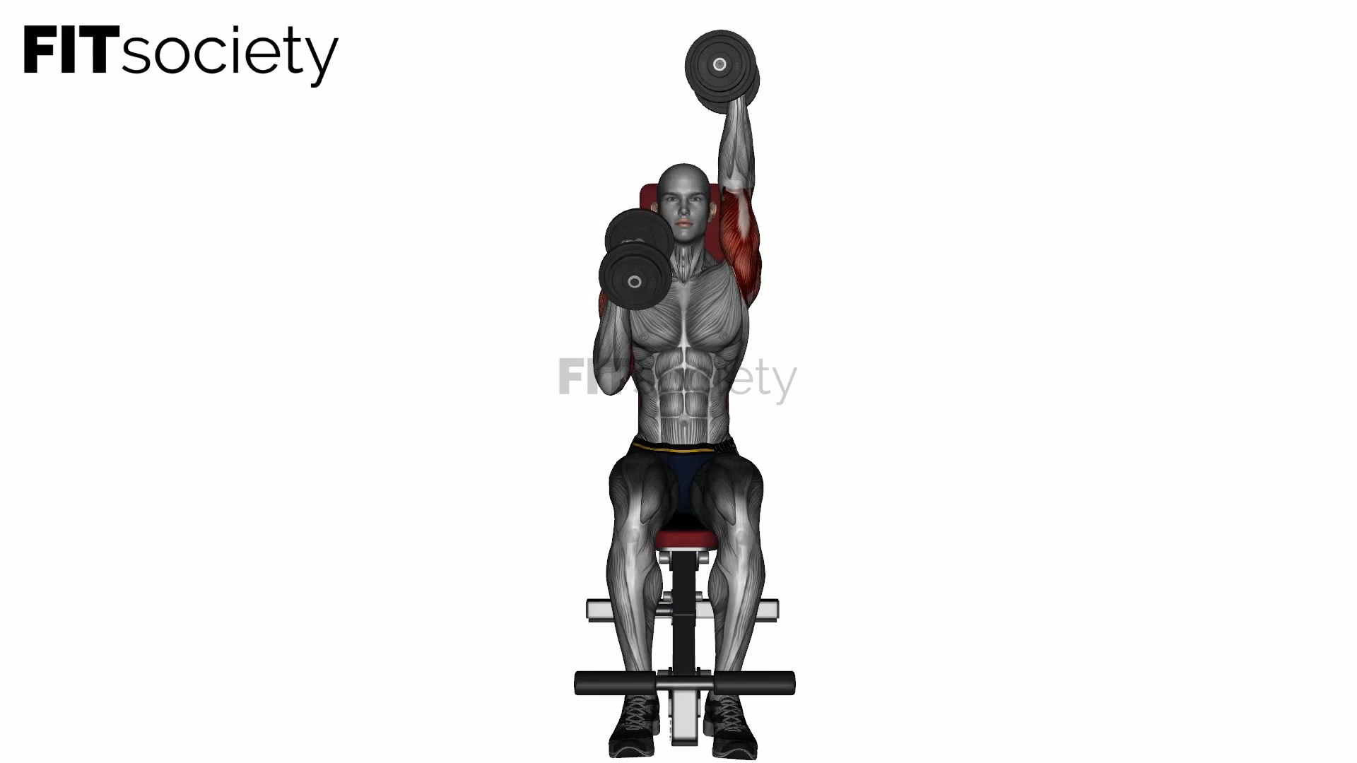 Seated Elbow In Alternating Dumbbell Overhead Press