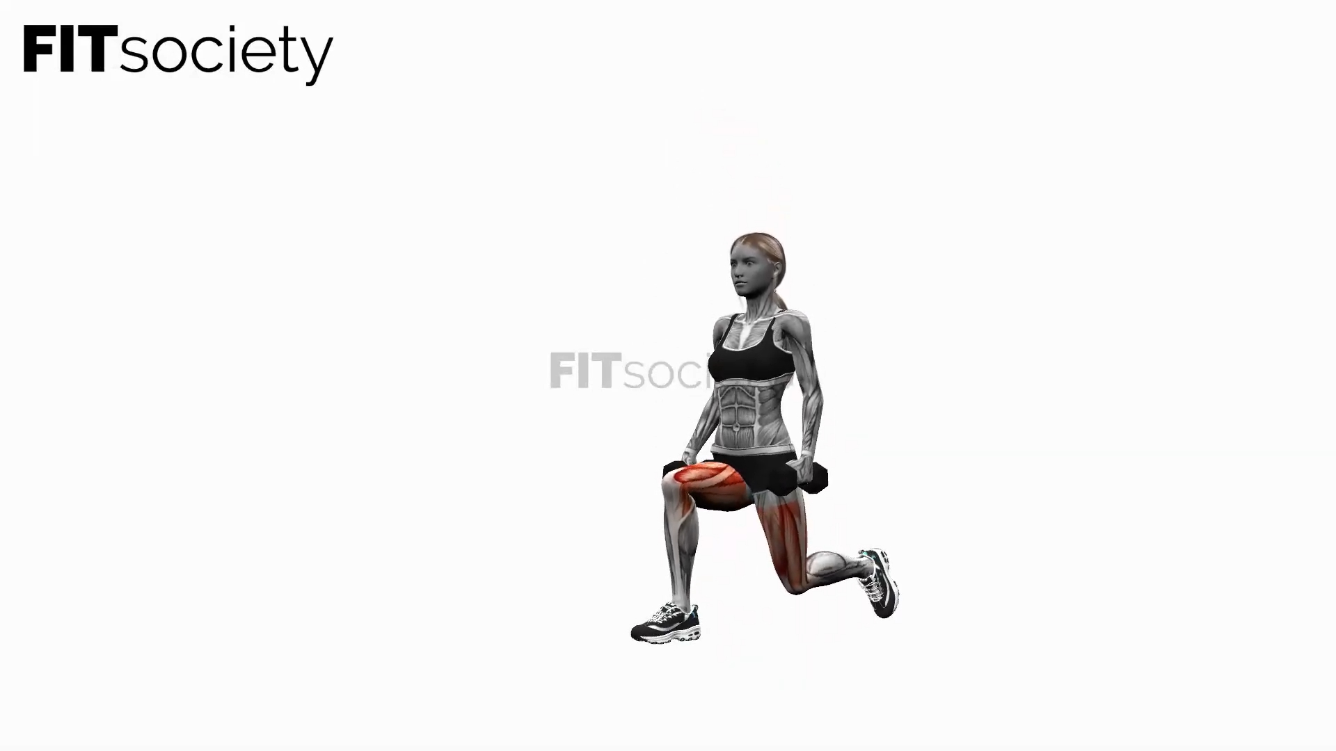 Dumbbell Reverse Lunge On The Spot