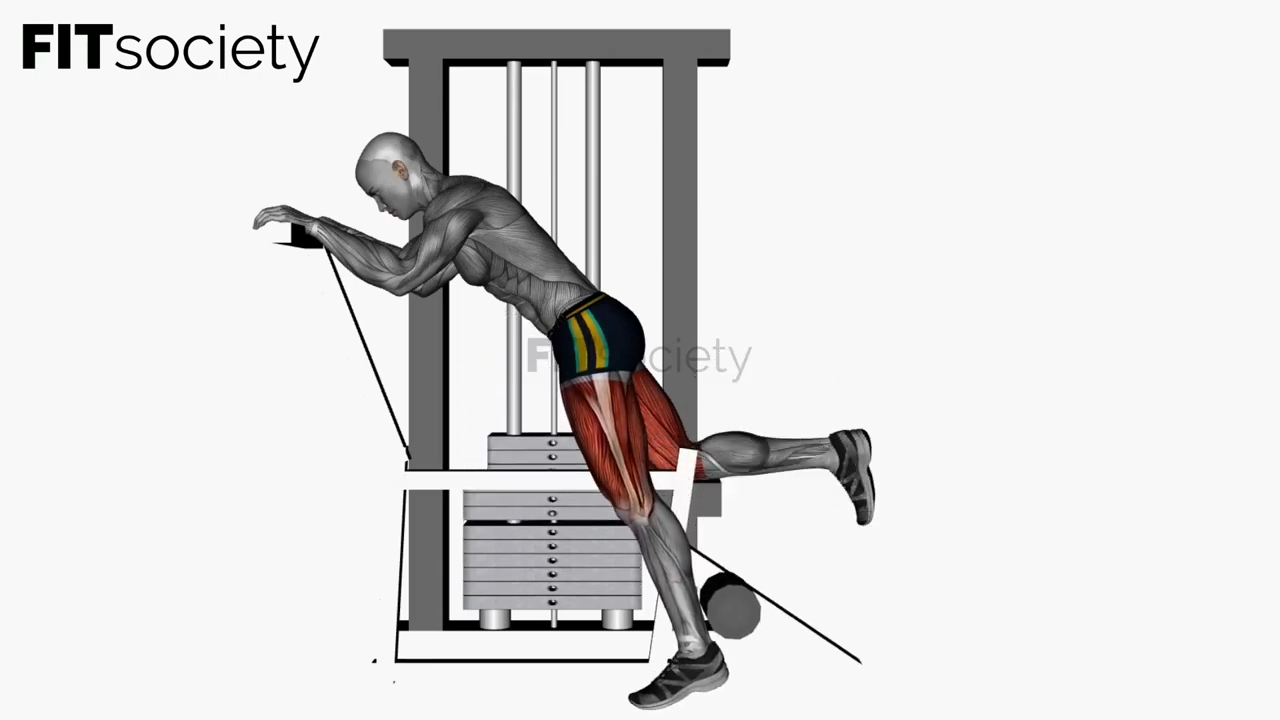 Kneeling Leg Curl Machine