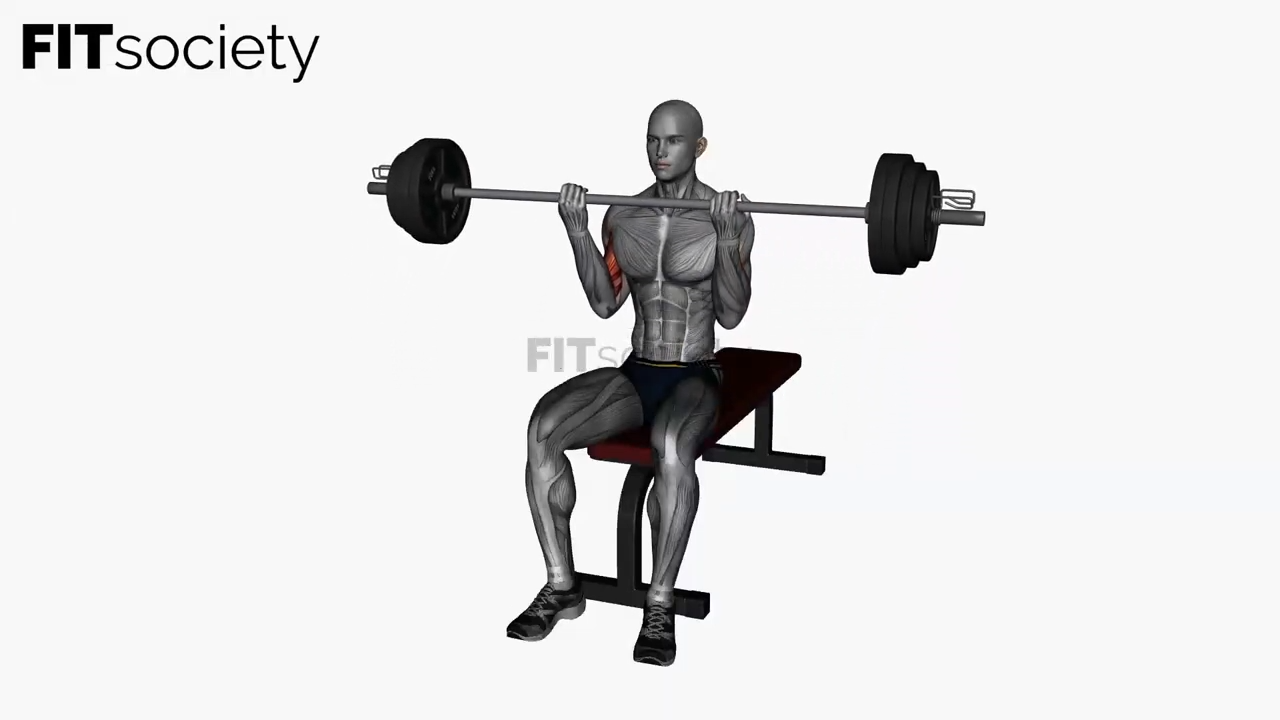 Barbell Lap Curl