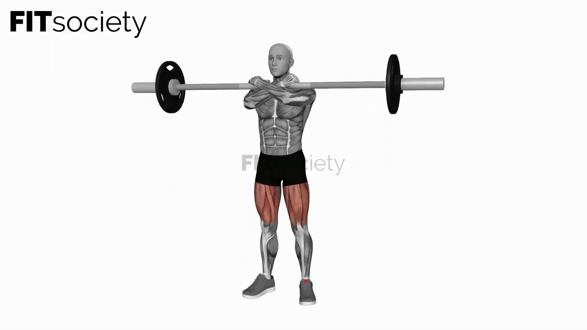 Barbell Front Squats