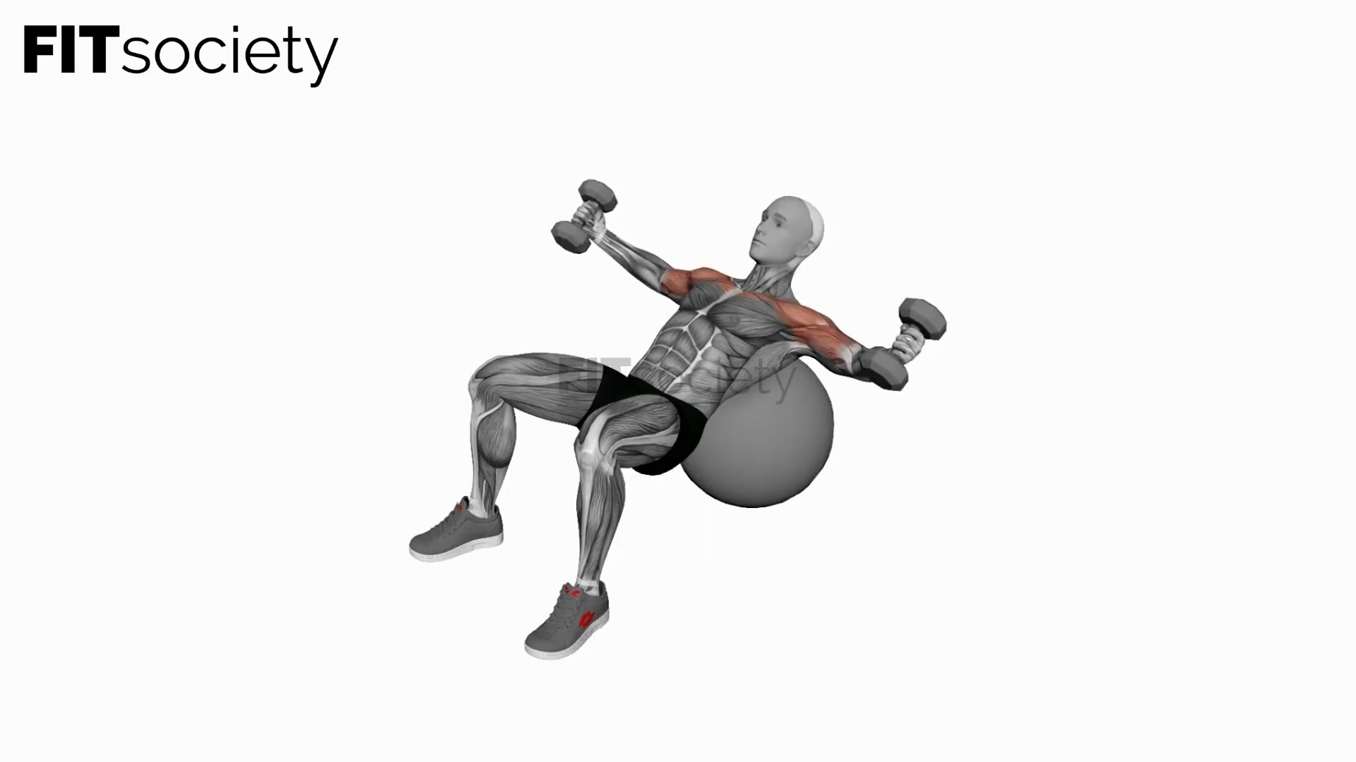 Dumbbell Incline Fly On Exercise Ball