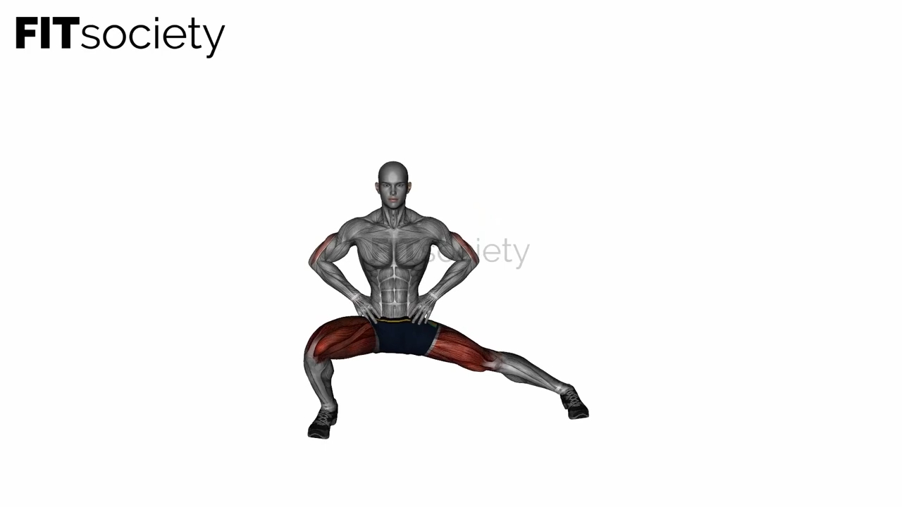 Standing Adductor Stretch