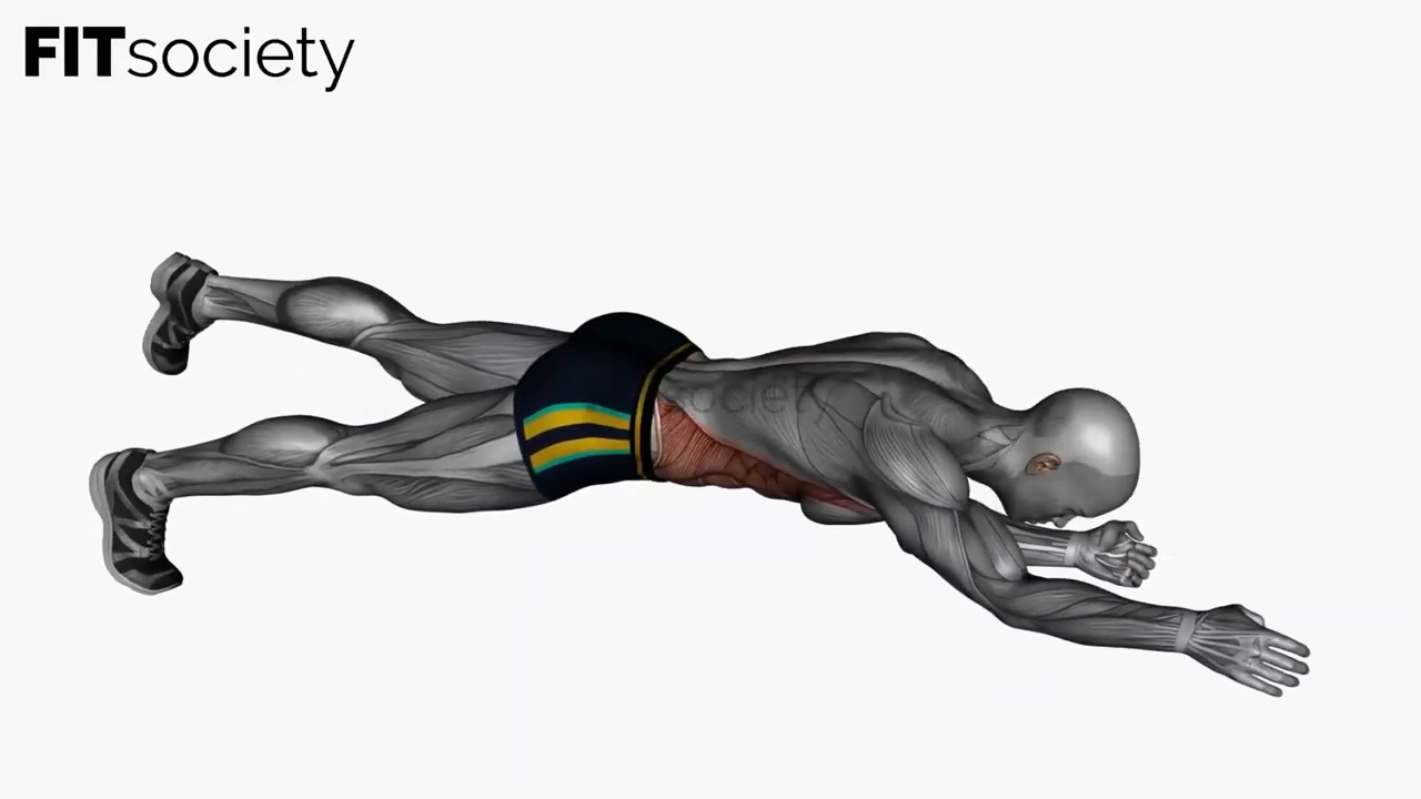 Alternate Arm Leg Plank Hold