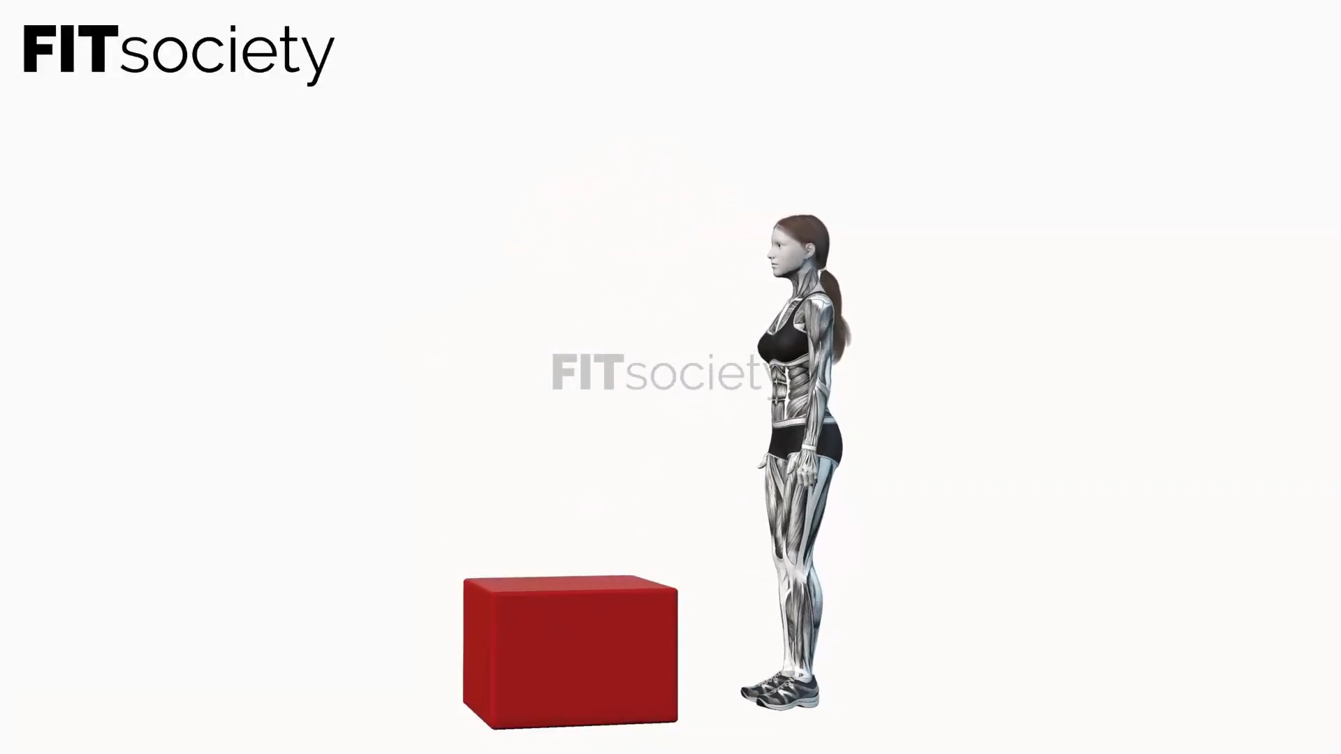 Box Jump