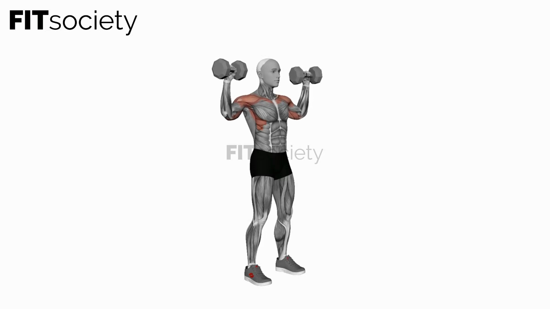 Dumbbell Standing Overhead Press