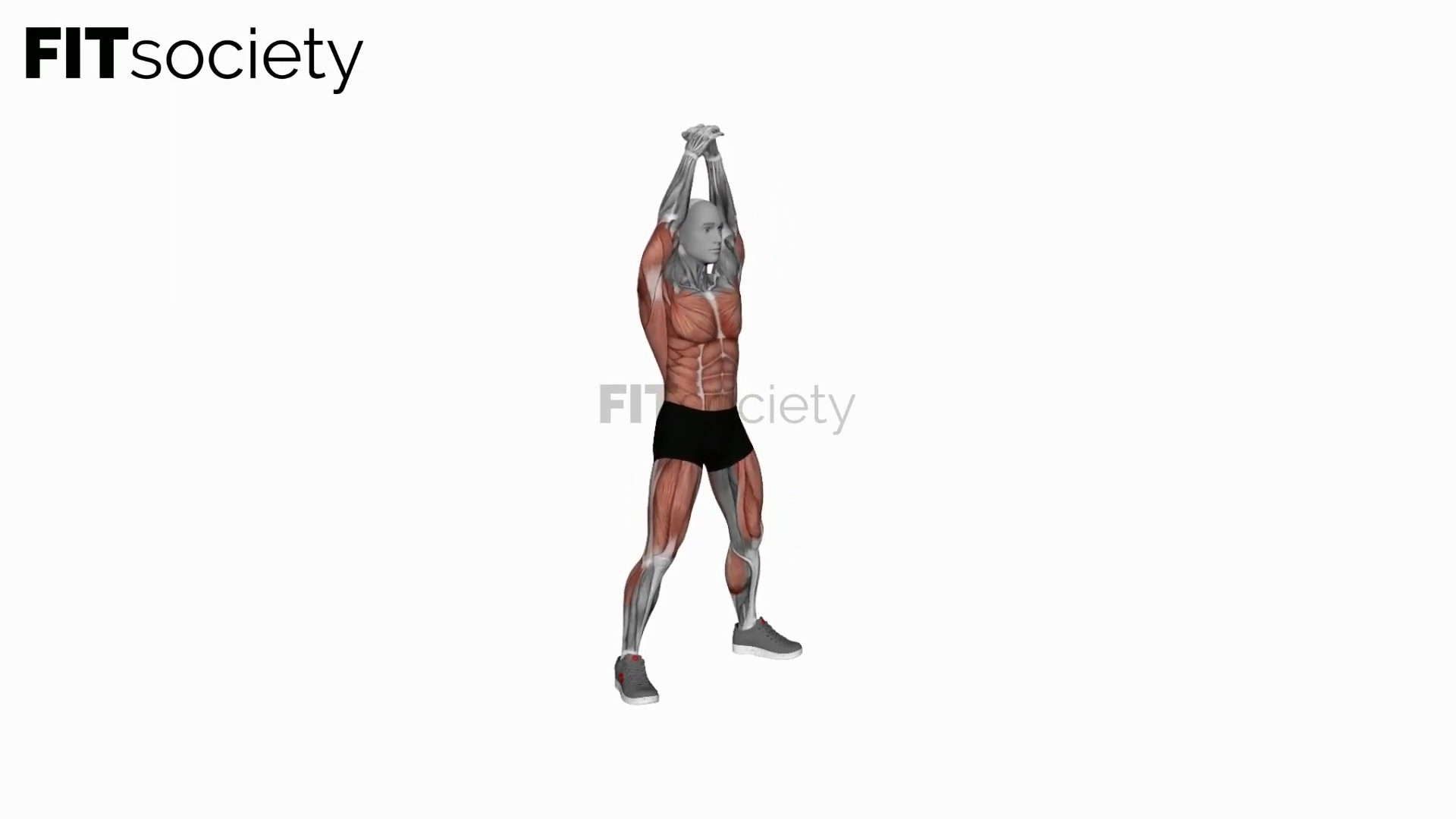 Bodyweight Front Slam