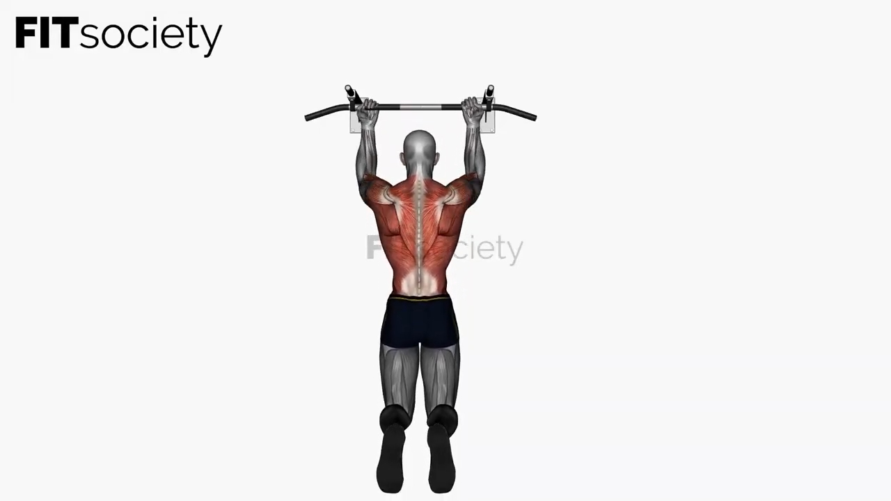 Chin-Up Reverse Wide Grip