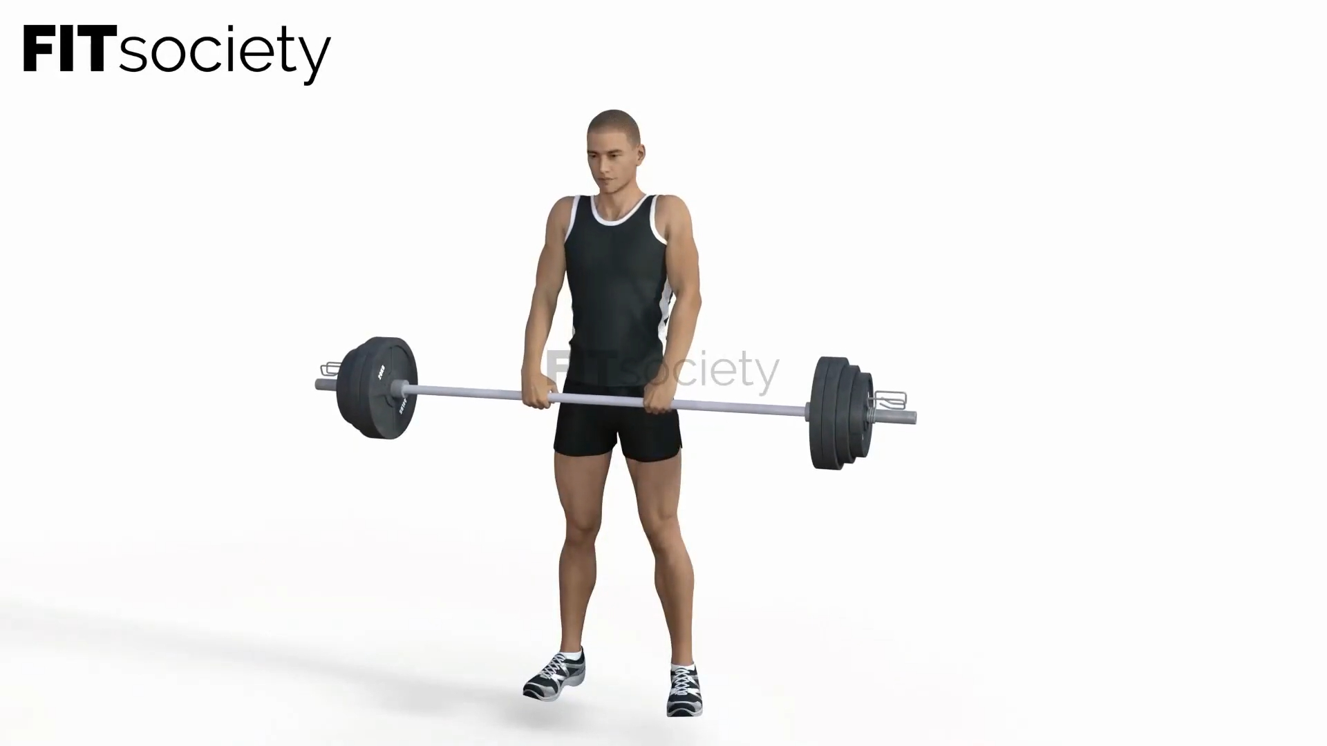 Barbell Shrugs