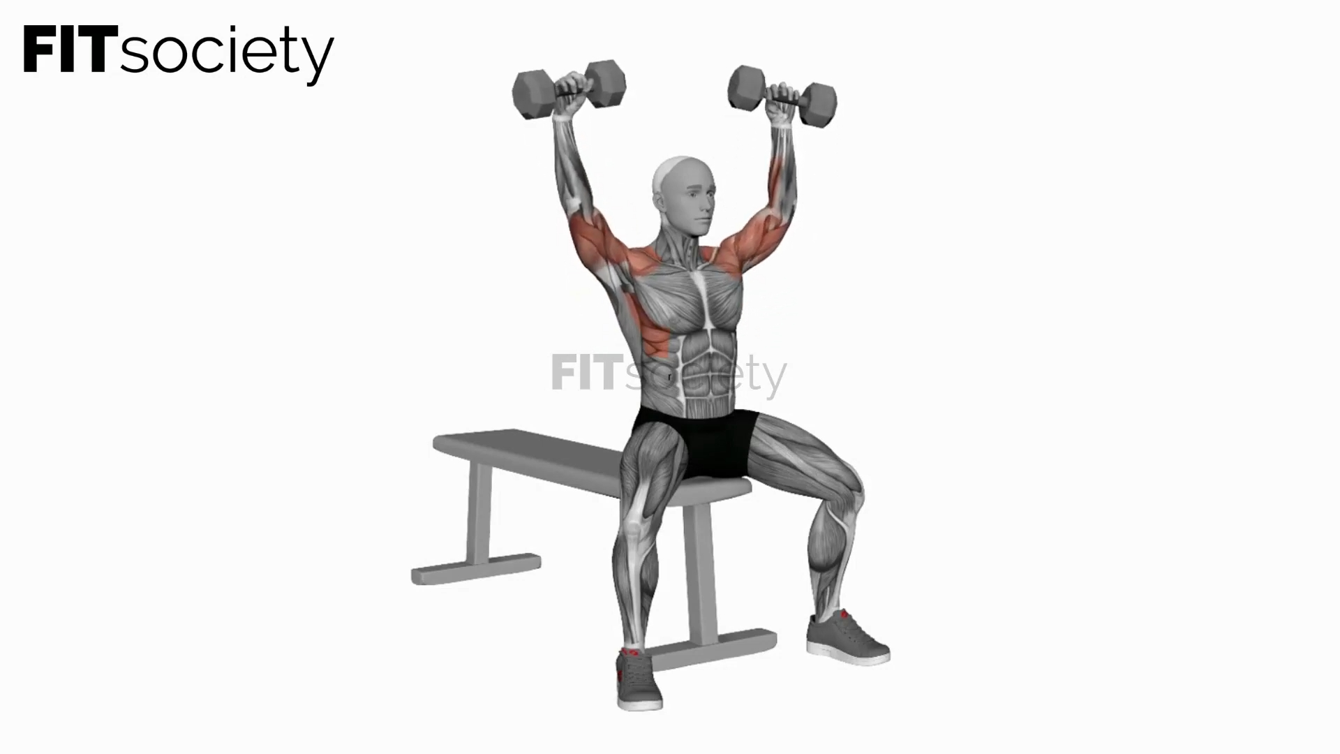 Dumbbell Arnold Press (Version 2)