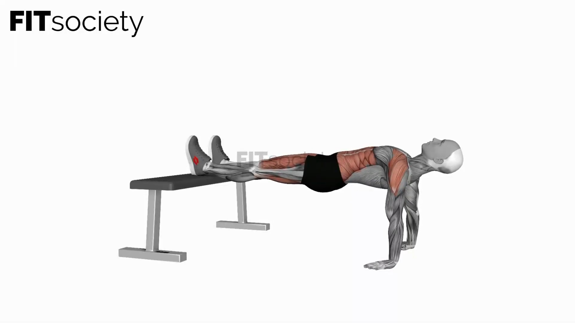 Bench Dip Hold