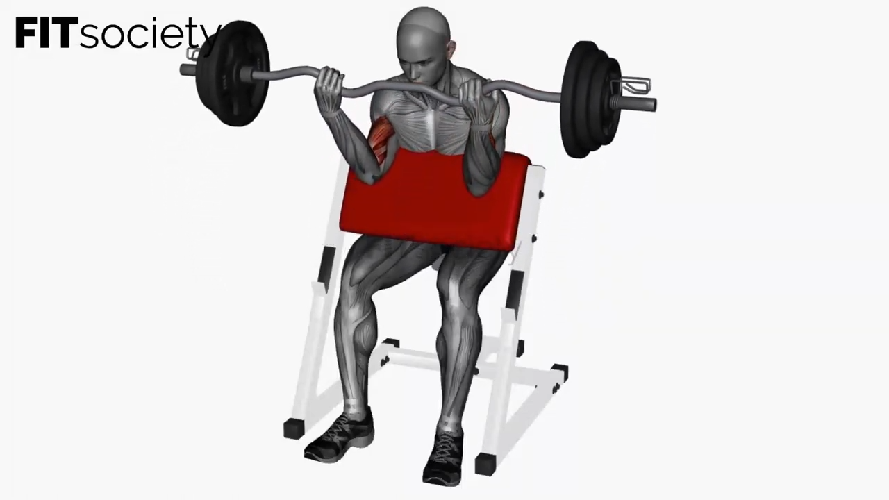 Preacher Curl Ez Bar Wide Grip