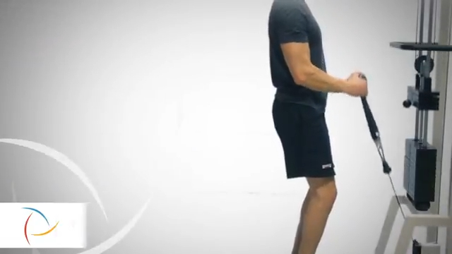 Cable Hammer Curls