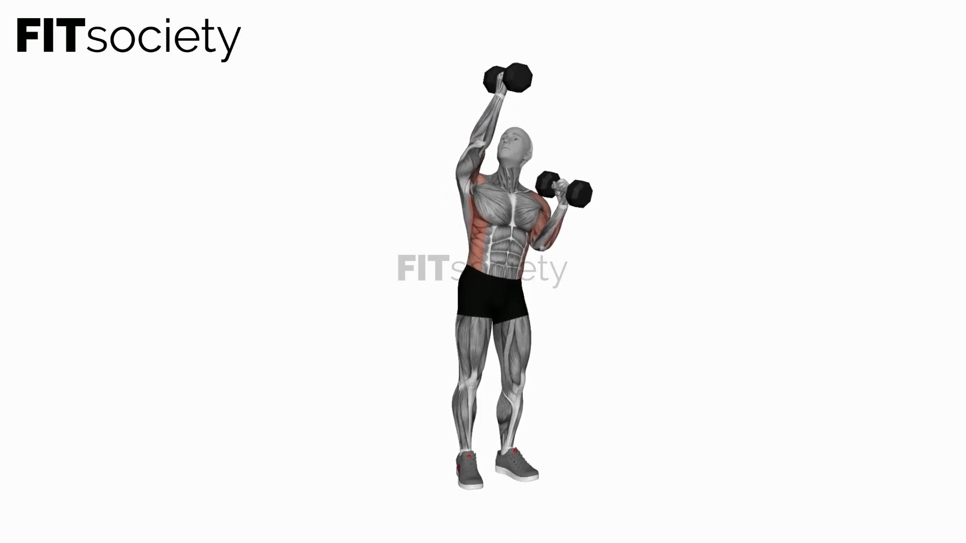 Dumbbell Alternate Side Press