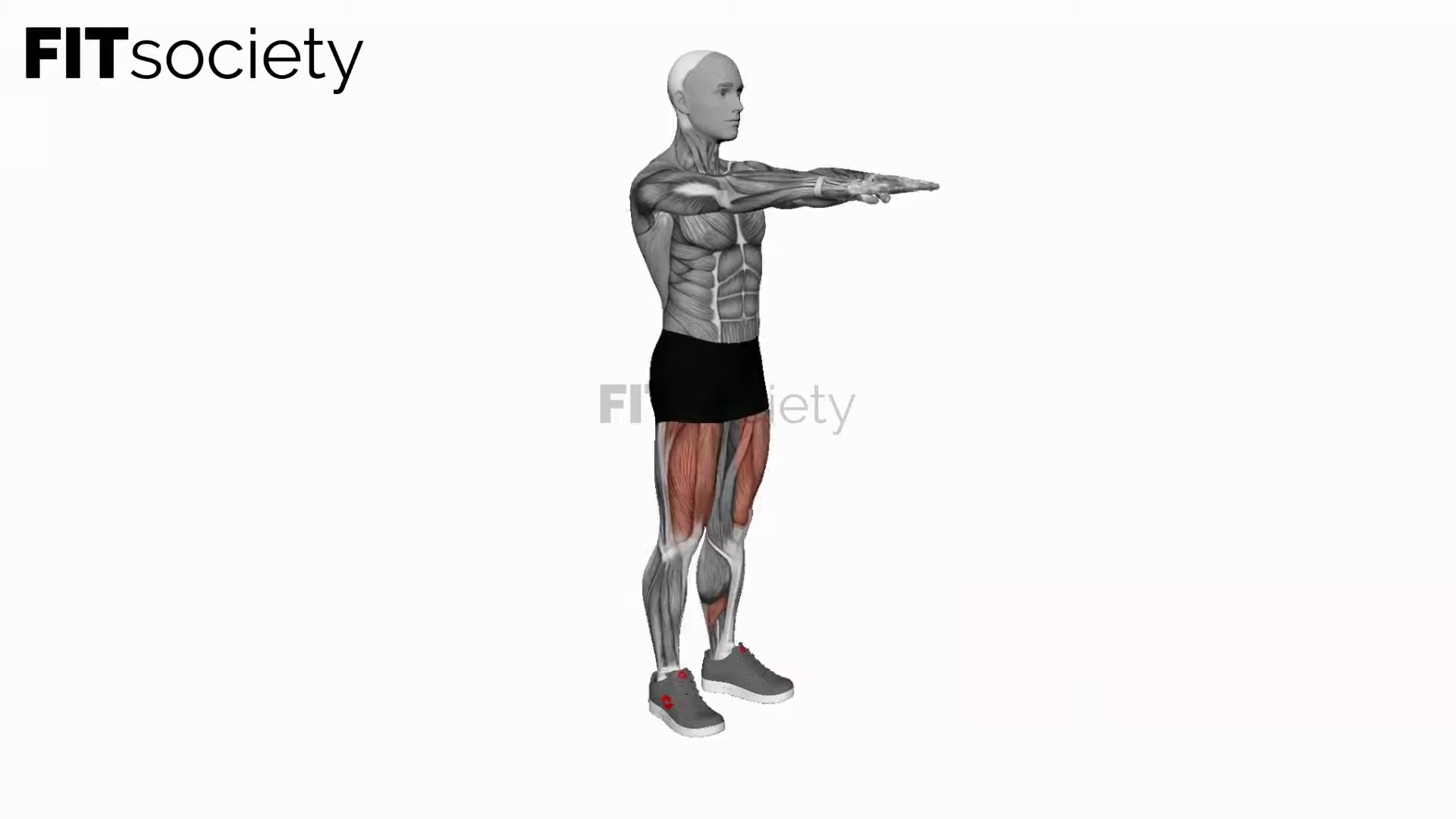 Bodyweight Squat