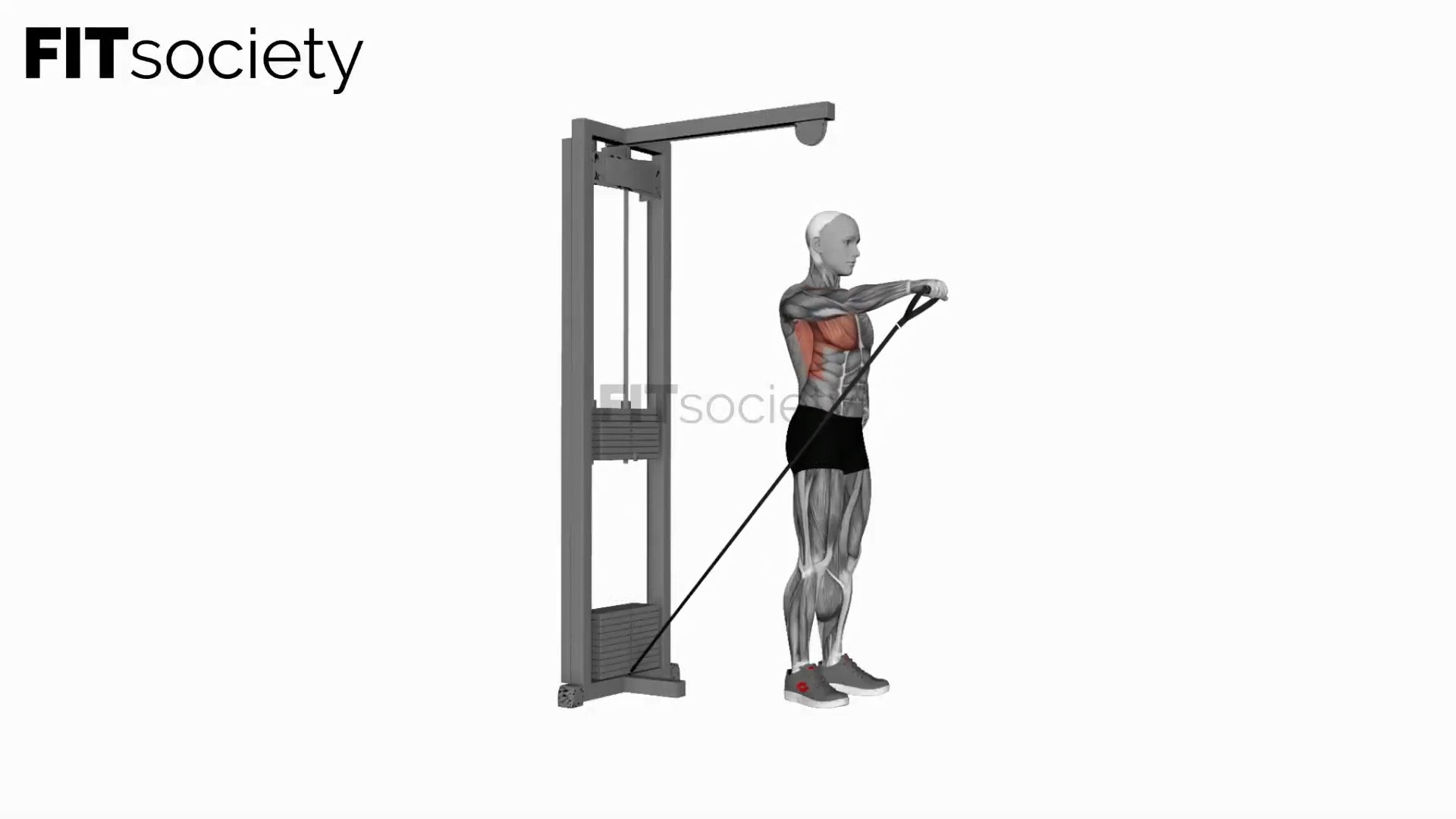 Cable One Arm Front Raise