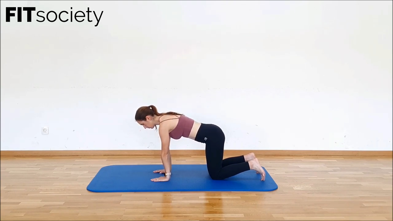 Quadruped Scapula Retraction And Protraction