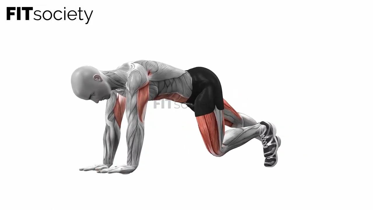 Alternating Plank Lunge