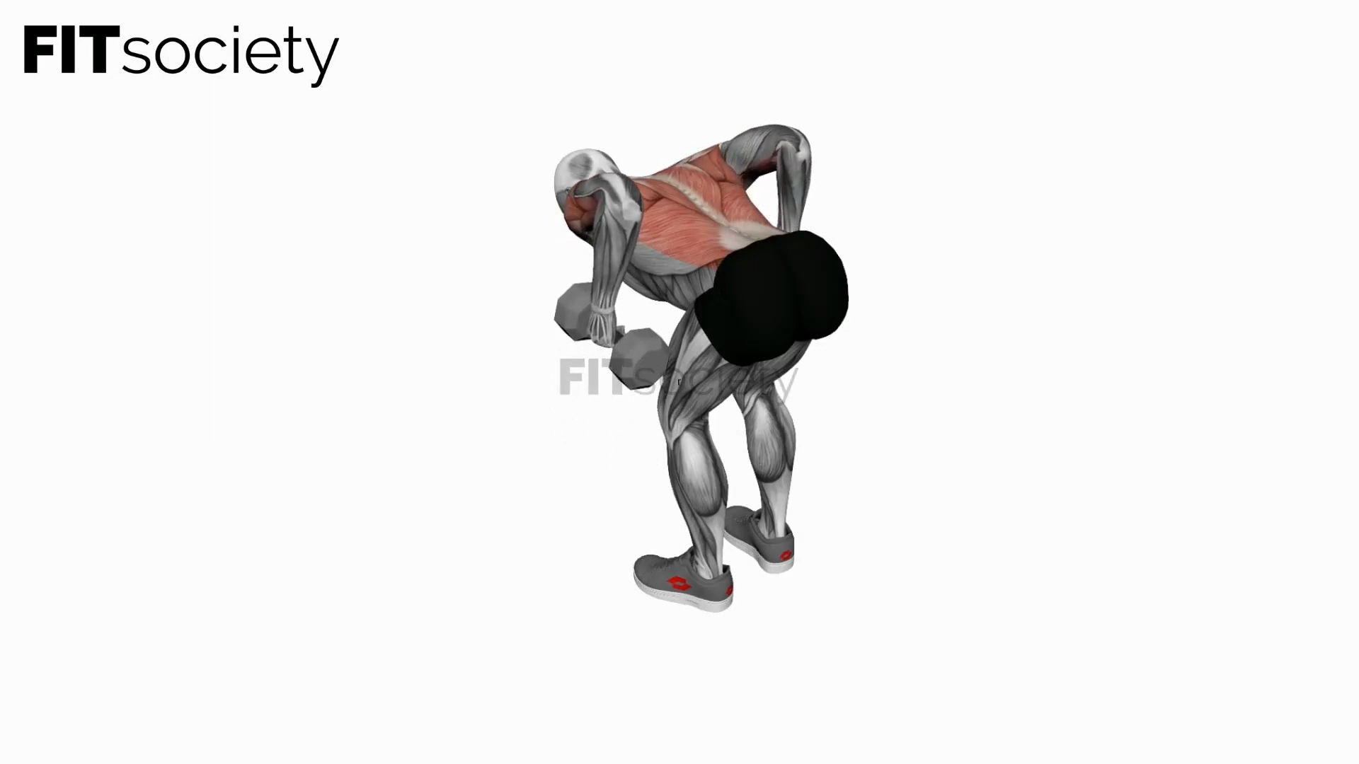 Dumbbell Bent-Over Row