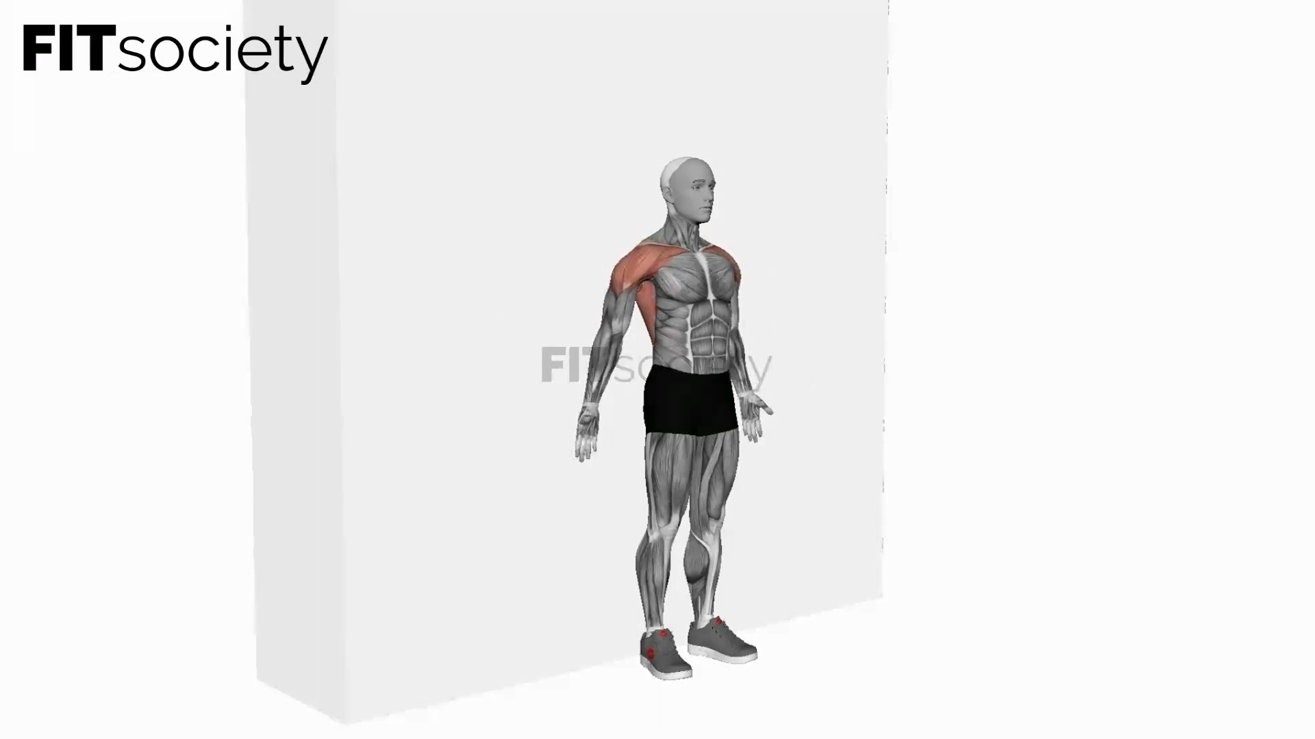 Bodyweight Standing Around the World Wall-Supported