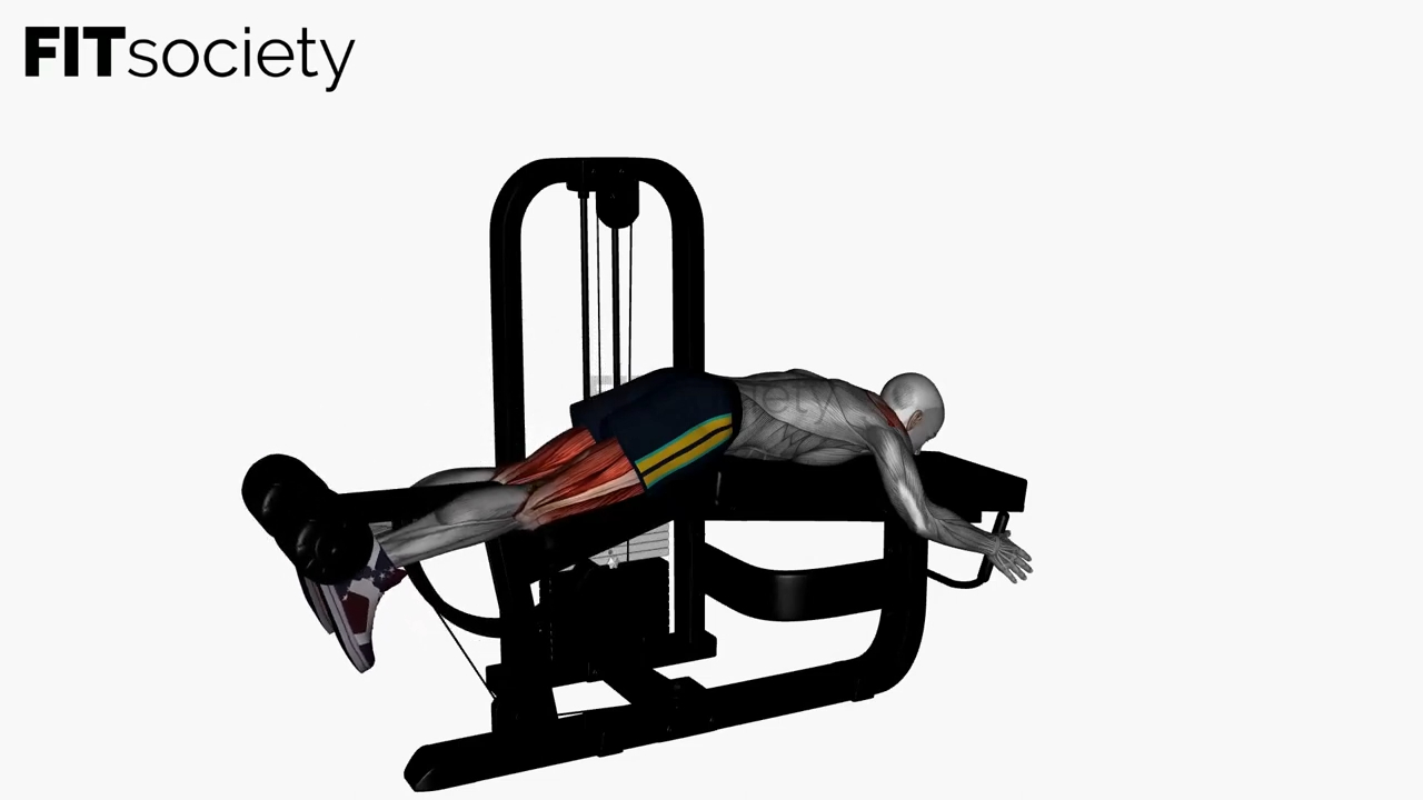 Lying Leg Curl Machine