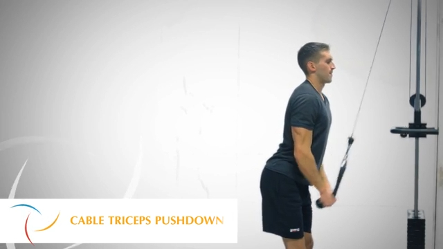 Cable Triceps Pushdown