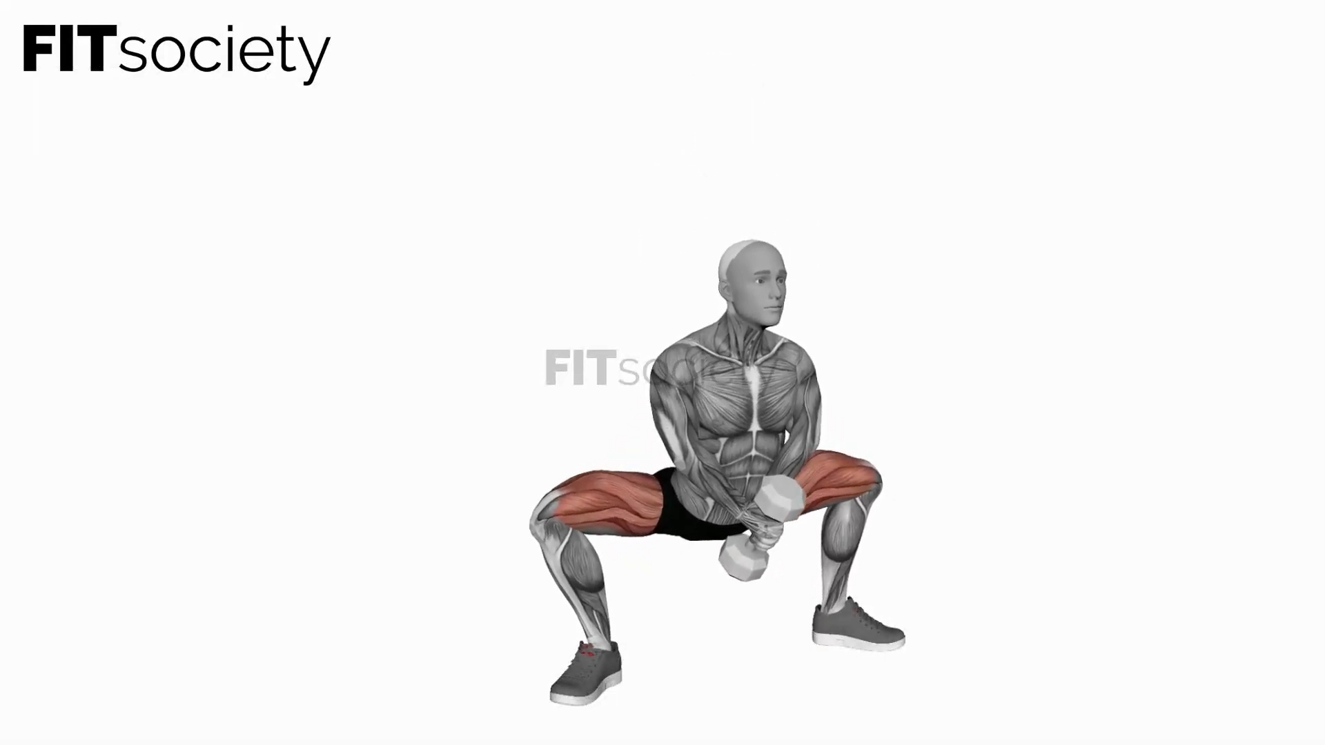 Dumbbell Plyo Squat