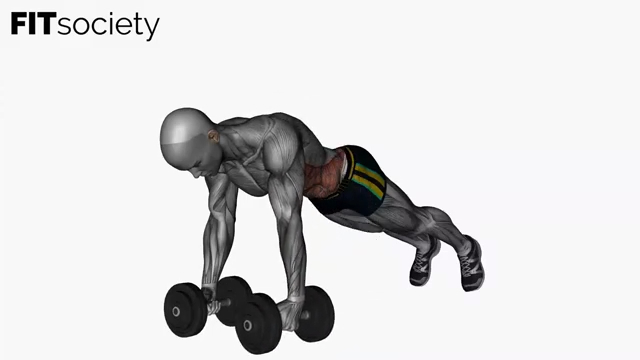 Dumbbells Plank To Alternating Row