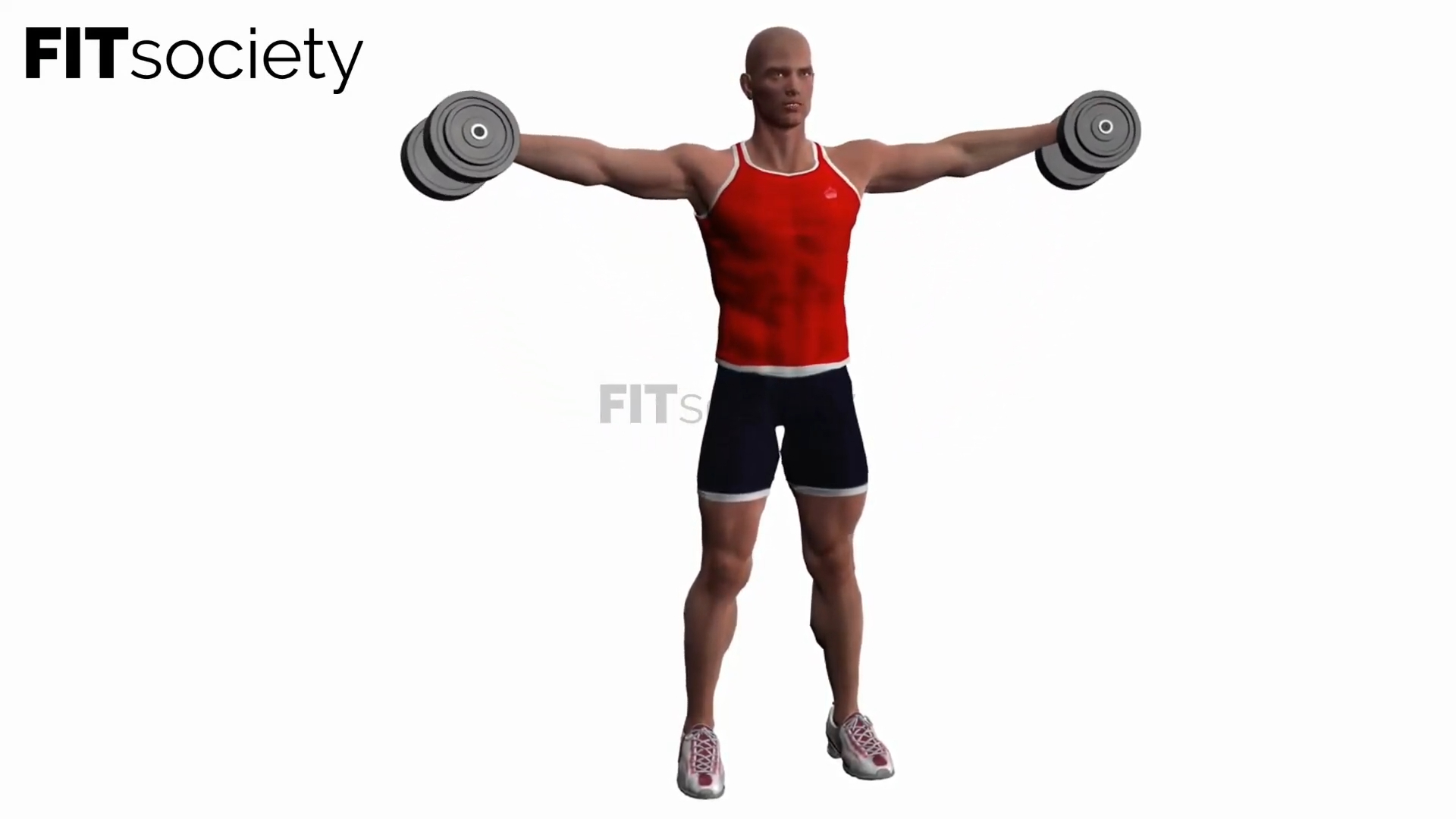 Lateral Raises