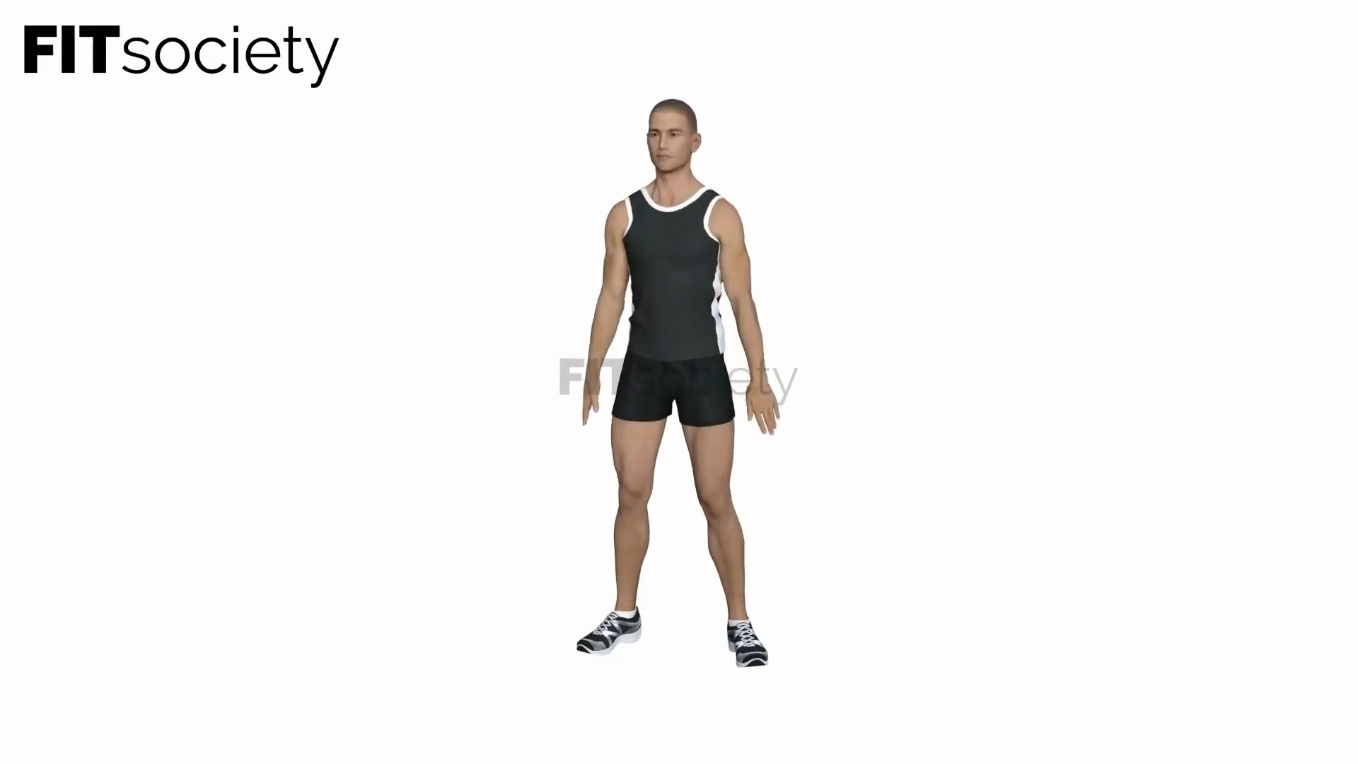 Bodyweight Squat