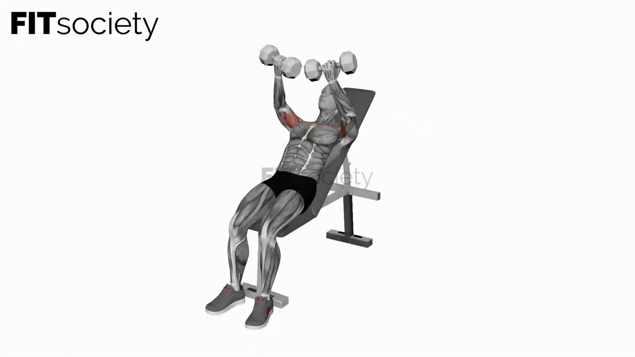 Dumbbell Incline Twisted Fly