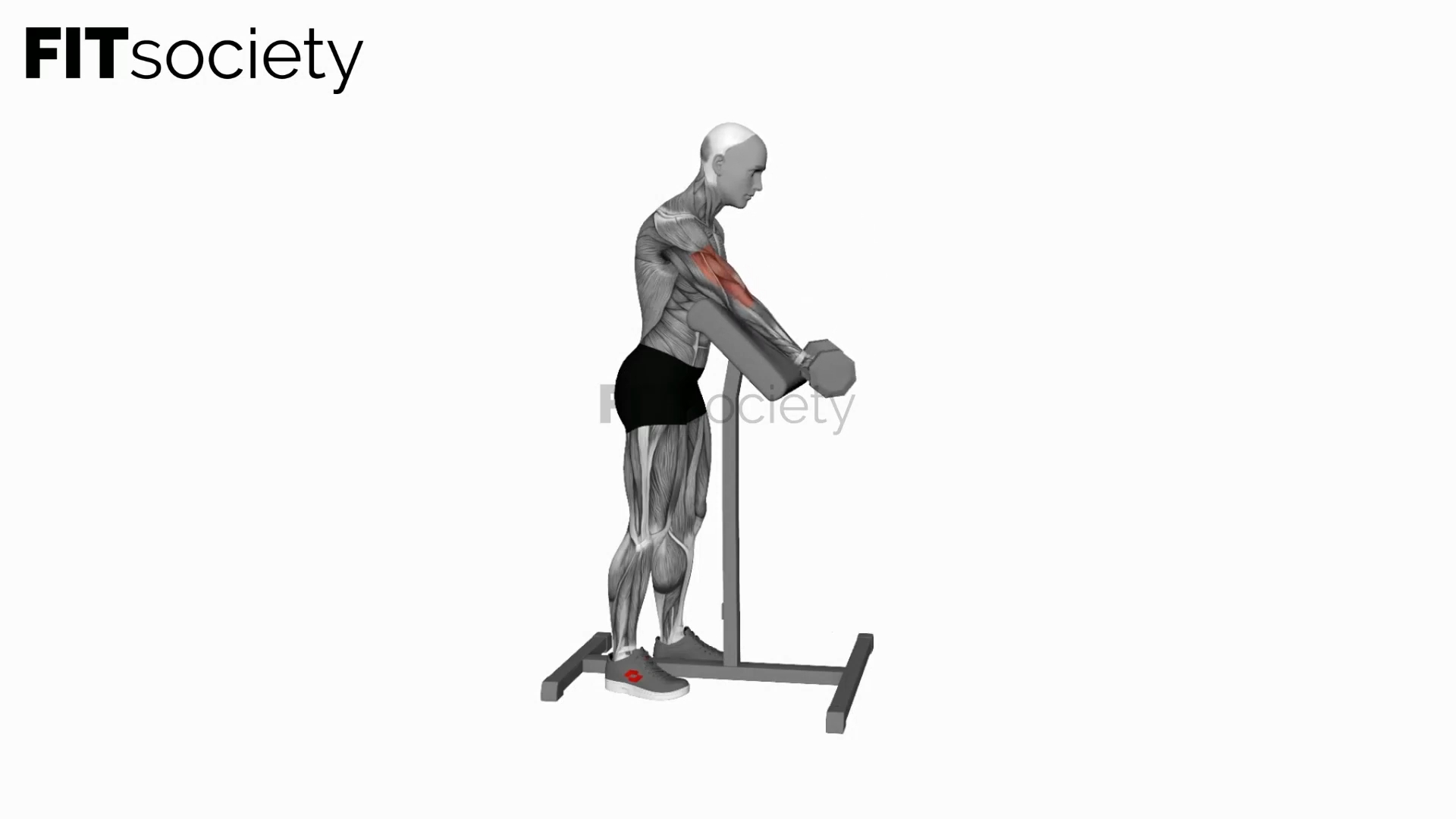 Dumbbell Standing Preacher Curl